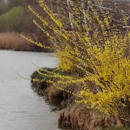 בית הארחה Reti Tanya Vendeghaz *