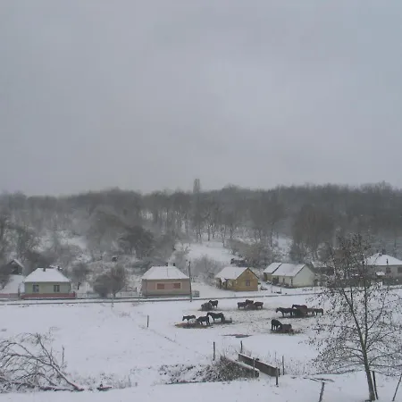 Reti Tanya Vendeghaz * Kerecseny