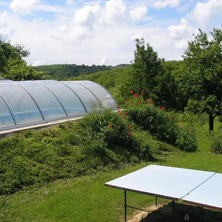 Reti Tanya Vendeghaz *