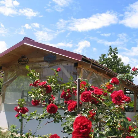 Reti Tanya Vendeghaz *