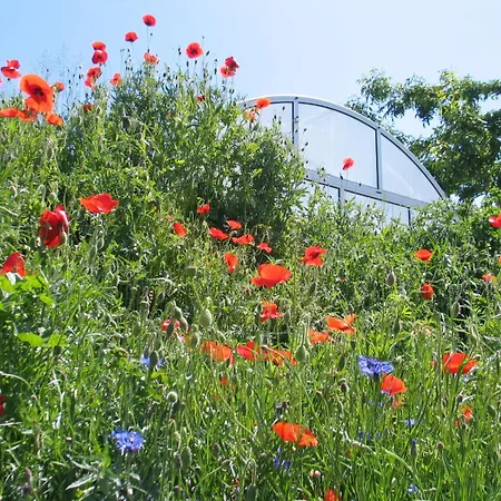 בית הארחה Reti Tanya Vendeghaz Kerecseny