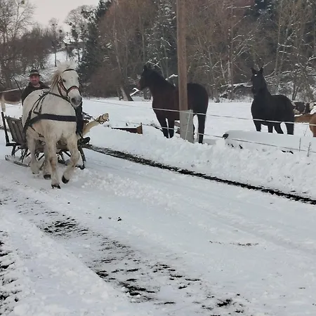 Reti Tanya Vendeghaz *