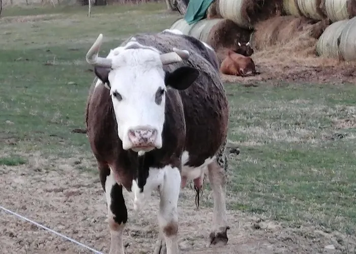 Penzion Reti Tanya Vendeghaz Kerecseny