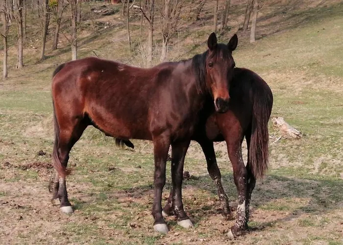 Reti Tanya Vendeghaz Penzion Kerecseny