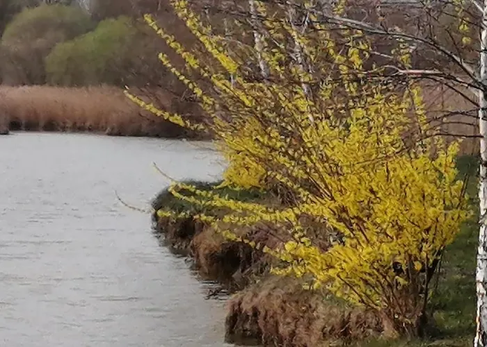 Penzion Reti Tanya Vendeghaz *