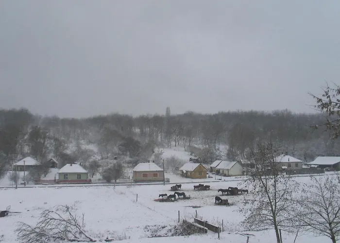 Reti Tanya Vendeghaz * Kerecseny