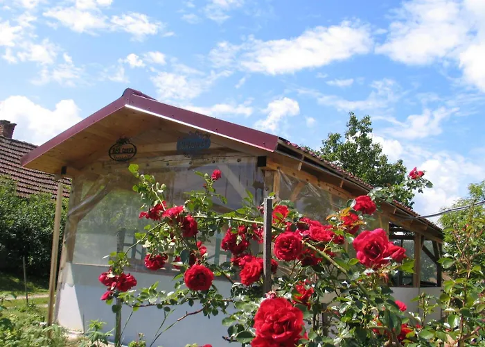 Reti Tanya Vendeghaz *