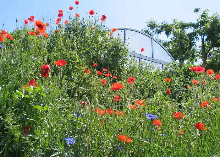 Penzion Reti Tanya Vendeghaz Kerecseny