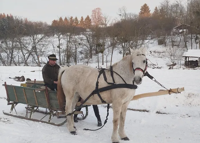 Penzion Reti Tanya Vendeghaz *