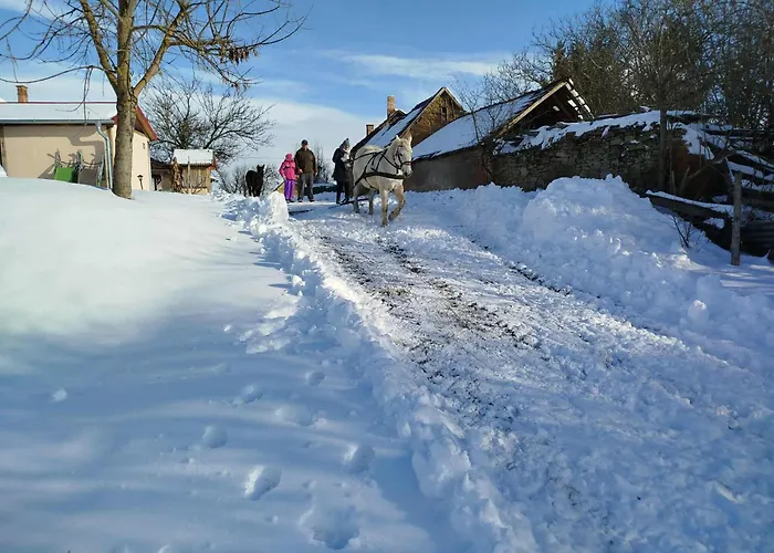 Reti Tanya Vendeghaz *