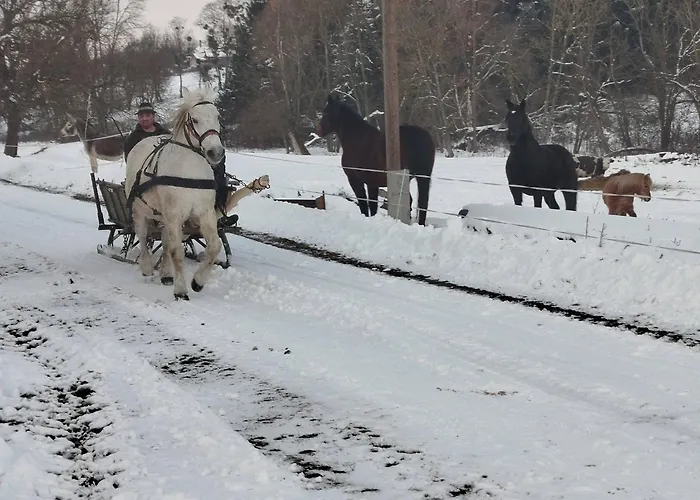 Reti Tanya Vendeghaz *